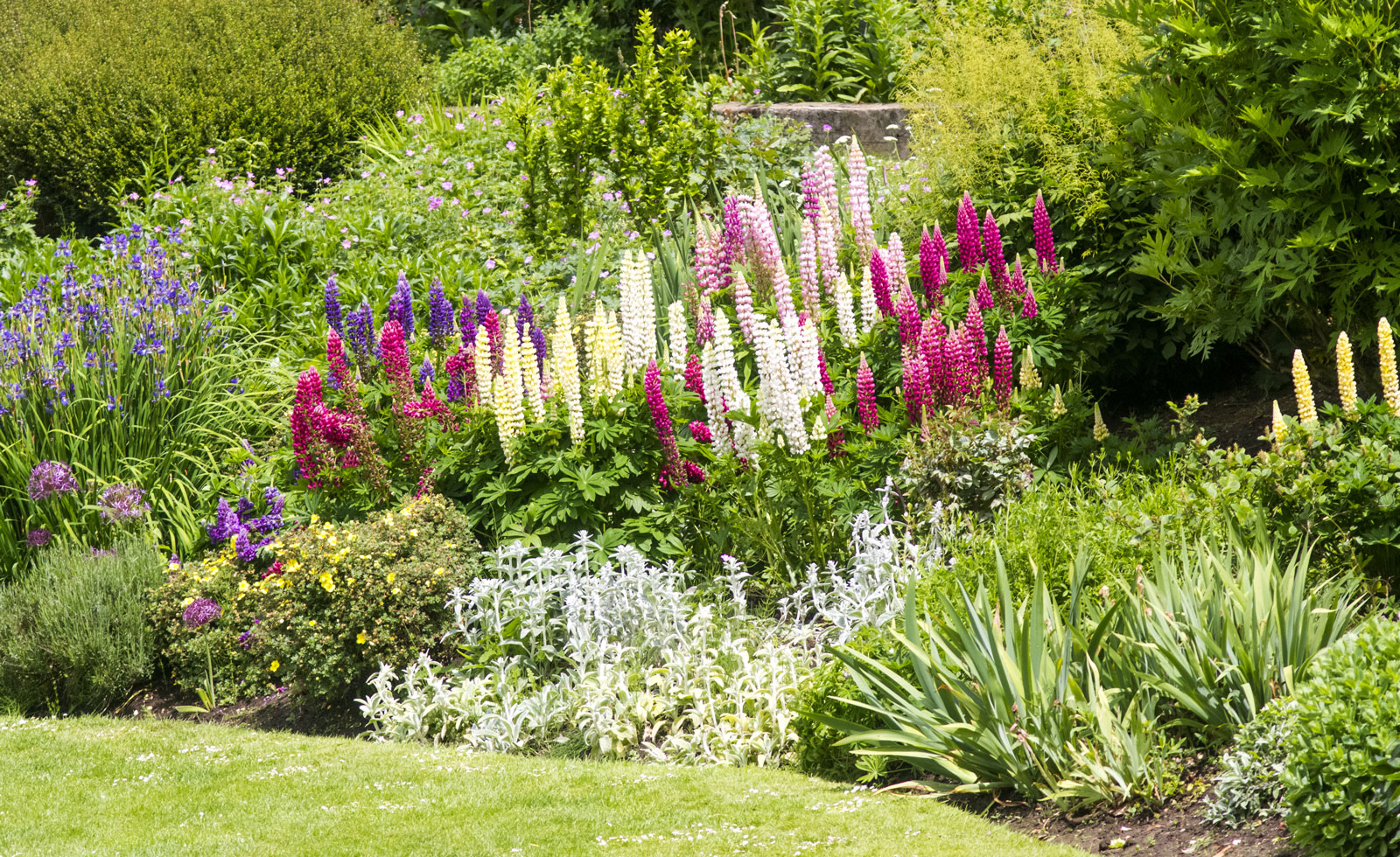 自宅に植物あふれる庭を イングリッシュガーデンのつくり方 リクシルのエクステリアで100のいいコト