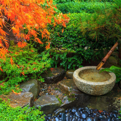 自宅であこがれの日本庭園をつくる方法をご紹介